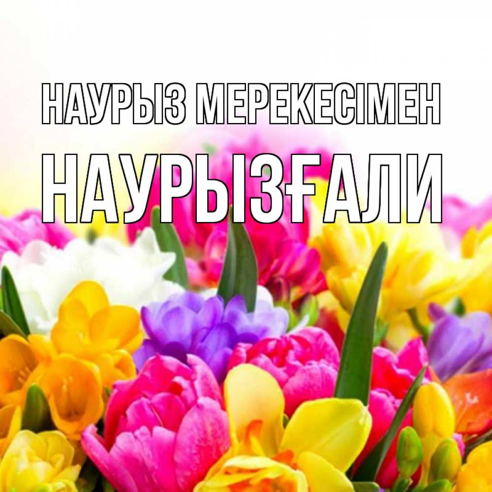 Күн сайын ашық хат с именем, Наурызғали Наурыз мерекесімен тюльпаны Онлайн тегін жүктеп алу тілектері бар керемет карта 