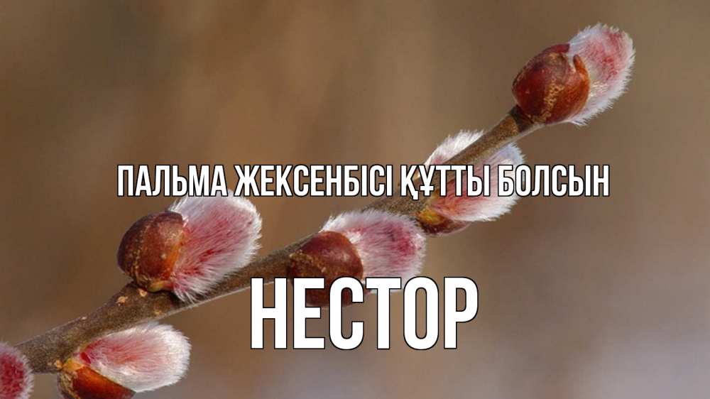 Күн сайын ашық хат с именем, Нестор Пальма жексенбісі құтты болсын верба Онлайн тегін жүктеп алу тілектері бар керемет карта 