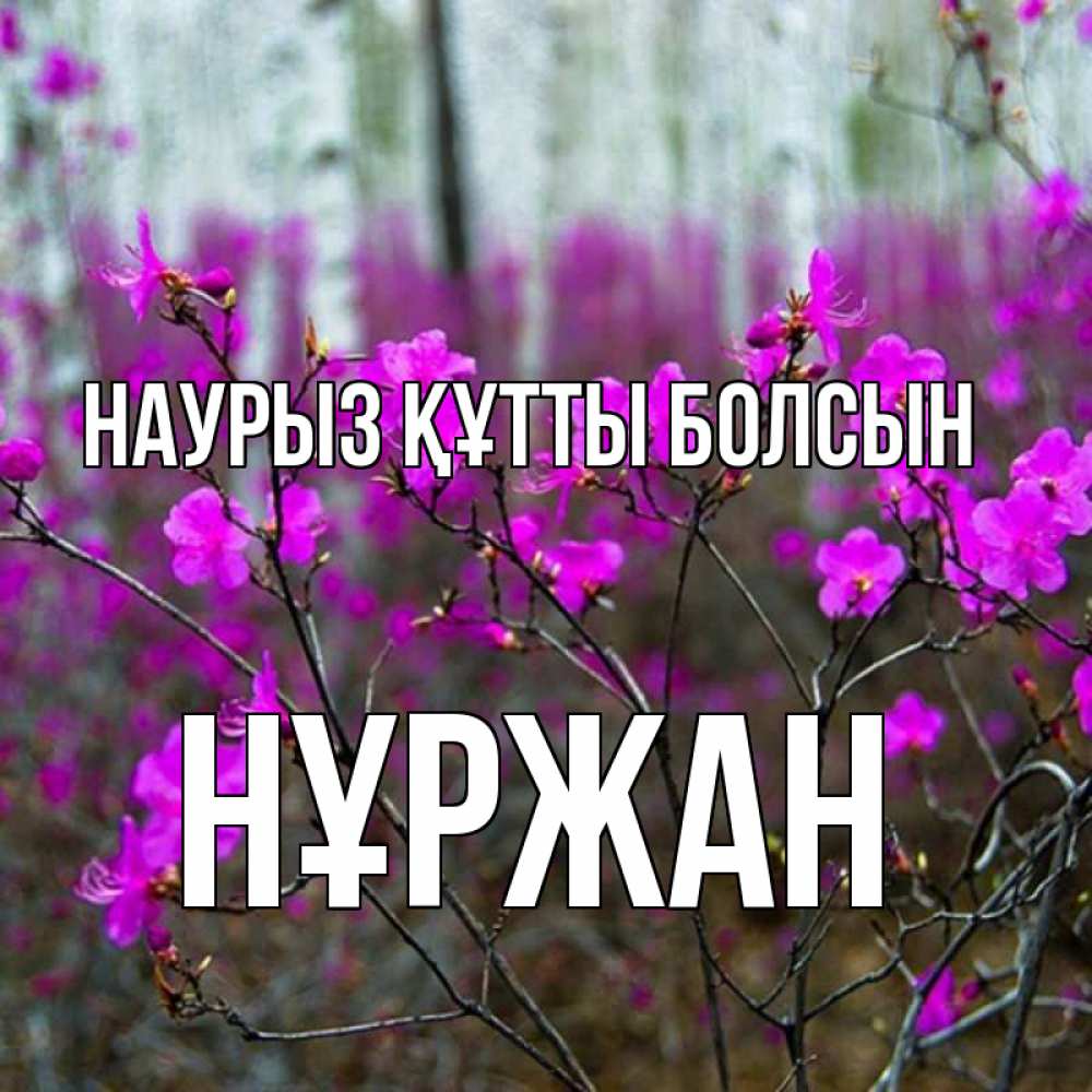 Күн сайын ашық хат с именем, НҰРЖАН Наурыз құтты болсын дикие цветы Онлайн тегін жүктеп алу тілектері бар керемет карта 
