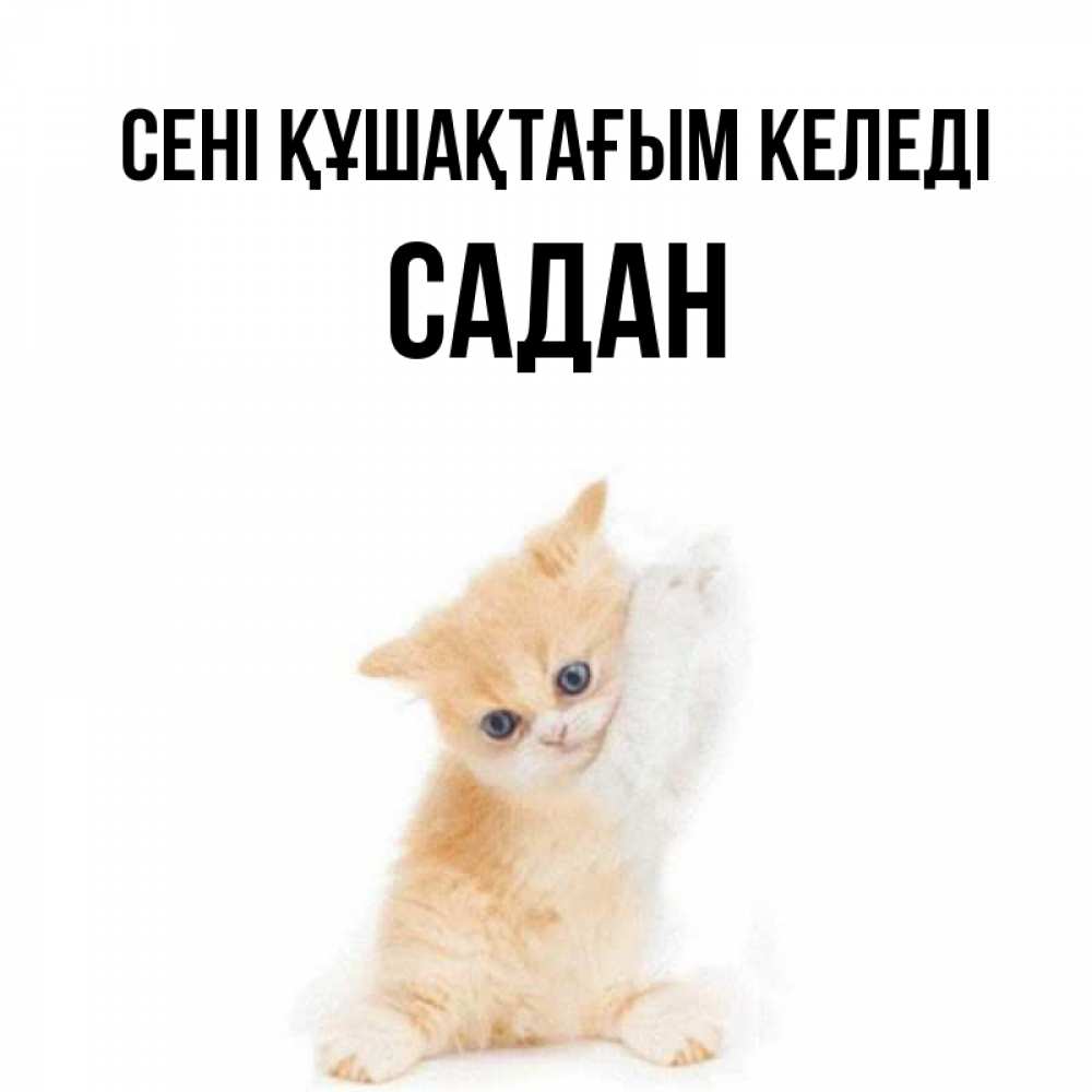 Күн сайын ашық хат с именем, САДАН сені құшақтағым келеді я хочу очень скорее обнимаешек Онлайн тегін жүктеп алу тілектері бар керемет карта 