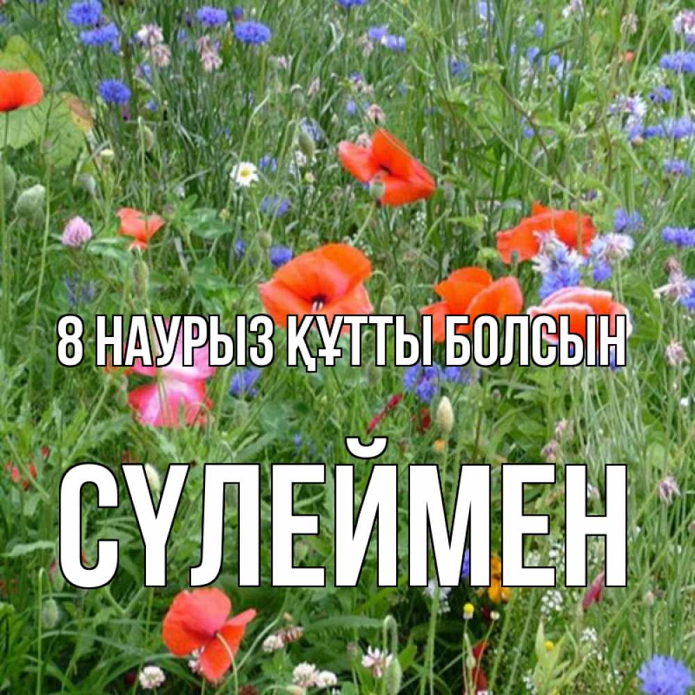 Күн сайын ашық хат с именем, СҮЛЕЙМЕН 8 наурыз құтты болсын международный женский день 4 Онлайн тегін жүктеп алу тілектері бар керемет карта 