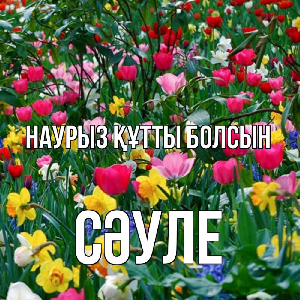 Күн сайын ашық хат с именем, СӘУЛЕ Наурыз құтты болсын с наурызом поздравления для женщины Онлайн тегін жүктеп алу тілектері бар керемет карта 