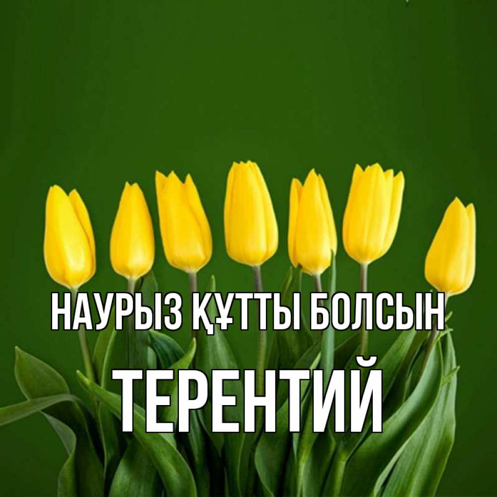 Күн сайын ашық хат с именем, Терентий Наурыз құтты болсын желтого цвета 3 Онлайн тегін жүктеп алу тілектері бар керемет карта 