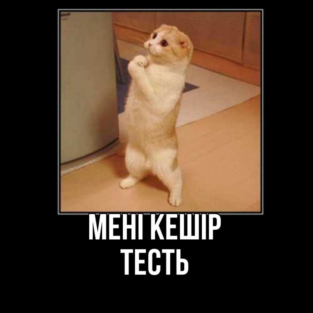 Күн сайын ашық хат с именем, Тесть Мені кешір открытка с милым несчастным котиком просящим прощения Онлайн тегін жүктеп алу тілектері бар керемет карта 