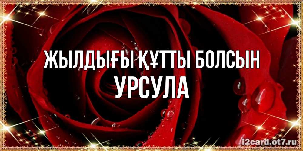 Күн сайын ашық хат с именем, Урсула Жылдығы құтты болсын цветок в росе на день рождения Онлайн тегін жүктеп алу тілектері бар керемет карта 