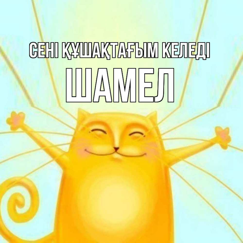Күн сайын ашық хат с именем, ШАМЕЛ сені құшақтағым келеді солнечный обнимашечный кот Онлайн тегін жүктеп алу тілектері бар керемет карта 