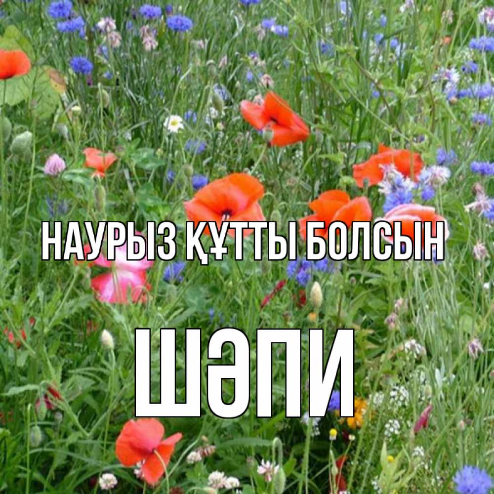 Күн сайын ашық хат с именем, ШӘПИ Наурыз құтты болсын наурыз  4 Онлайн тегін жүктеп алу тілектері бар керемет карта 