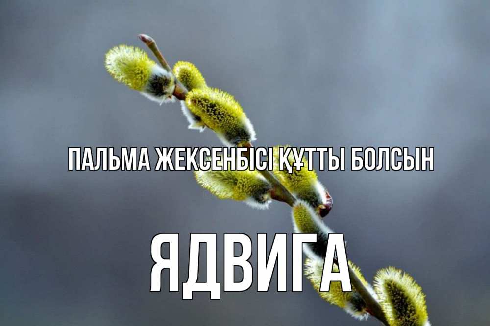 Күн сайын ашық хат с именем, Ядвига Пальма жексенбісі құтты болсын верба Онлайн тегін жүктеп алу тілектері бар керемет карта 