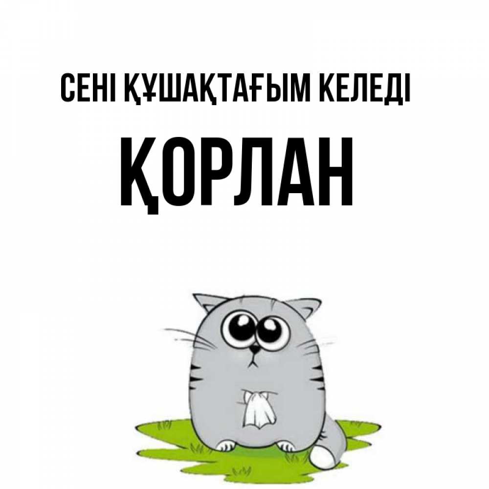 Күн сайын ашық хат с именем, ҚОРЛАН сені құшақтағым келеді котик теребит платочек сидя на травке Онлайн тегін жүктеп алу тілектері бар керемет карта 