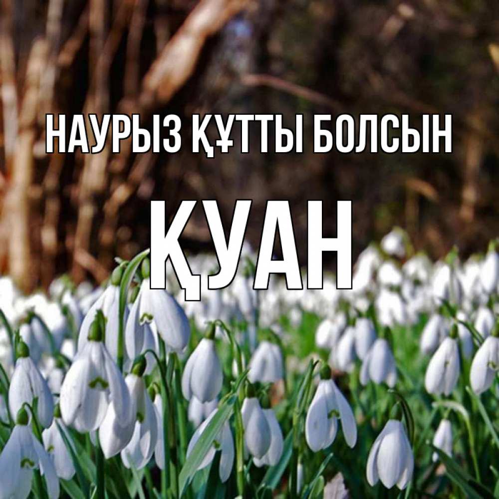 Күн сайын ашық хат с именем, ҚУАН Наурыз құтты болсын с подснежниками 1 Онлайн тегін жүктеп алу тілектері бар керемет карта 