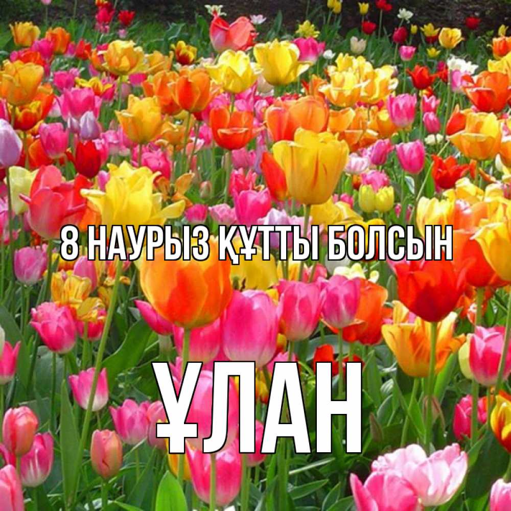Күн сайын ашық хат с именем, ҰЛАН 8 наурыз құтты болсын на международный женский день Онлайн тегін жүктеп алу тілектері бар керемет карта 
