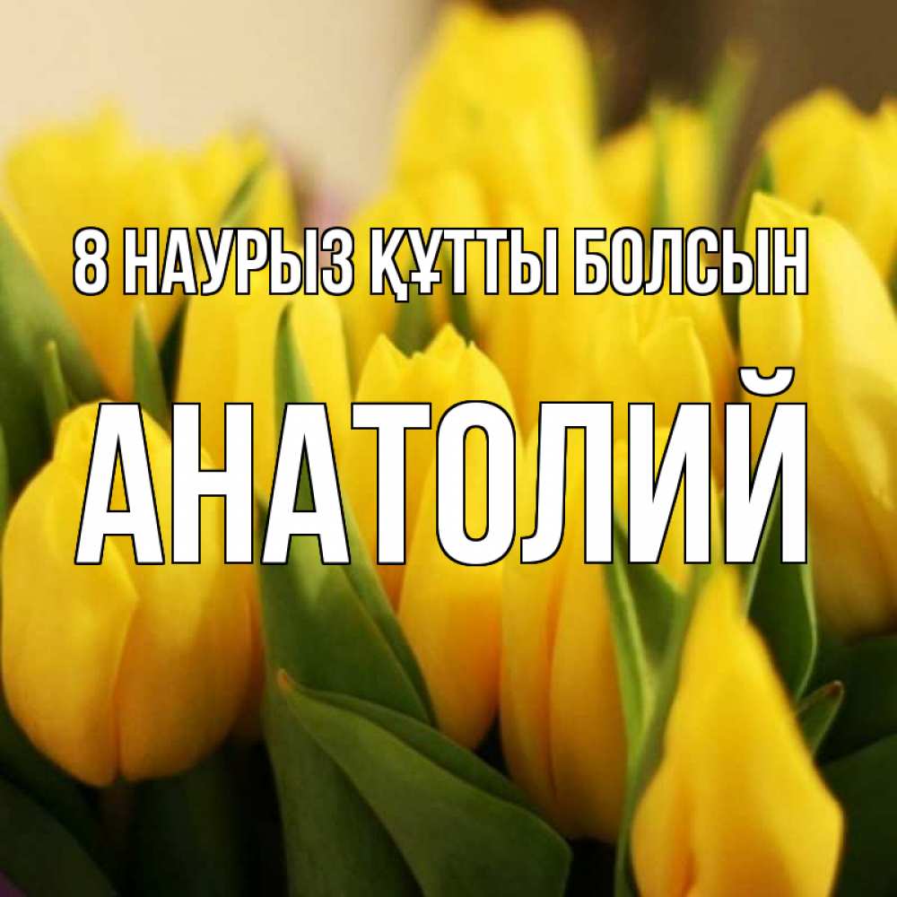 Күн сайын ашық хат с именем, Анатолий 8 наурыз құтты болсын цветы Онлайн тегін жүктеп алу тілектері бар керемет карта 