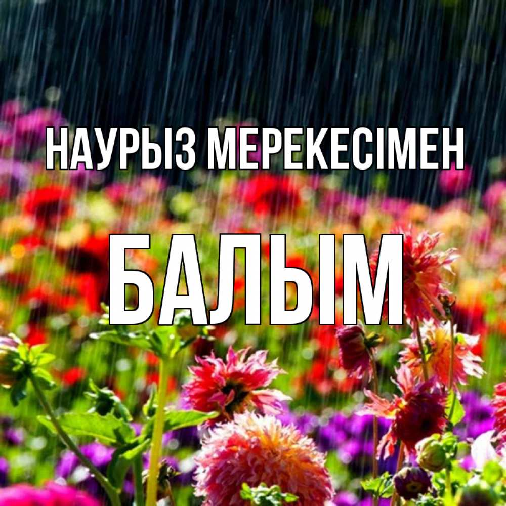 Күн сайын ашық хат с именем, БАЛЫМ Наурыз мерекесімен цветы под дождиком к международному женскому дню Онлайн тегін жүктеп алу тілектері бар керемет карта 