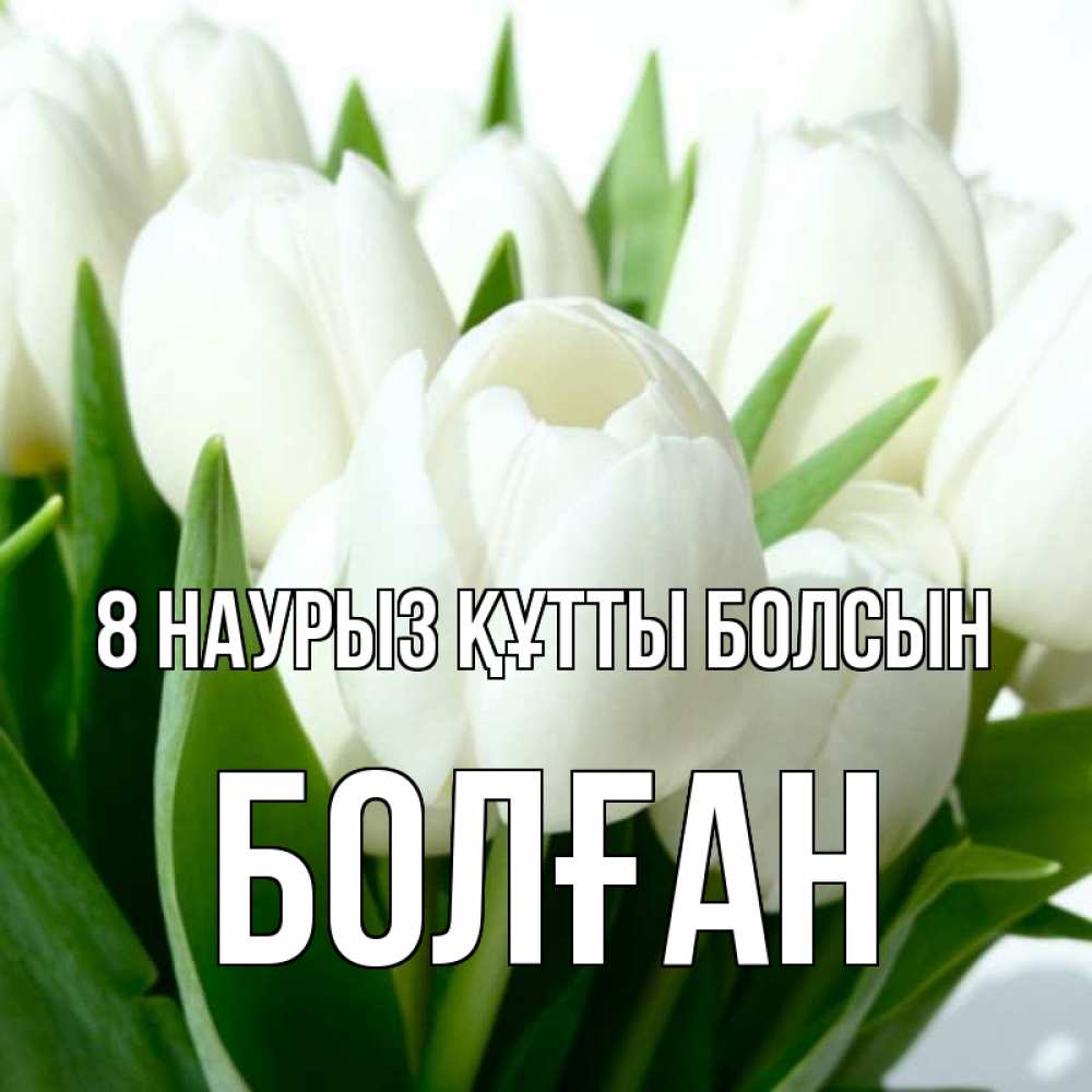 Күн сайын ашық хат с именем, Болған 8 наурыз құтты болсын цветы Онлайн тегін жүктеп алу тілектері бар керемет карта 