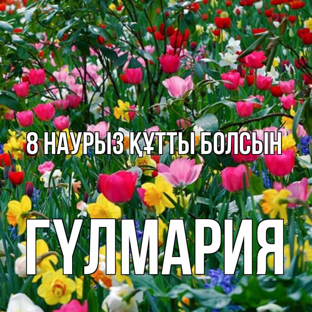 Күн сайын ашық хат с именем, ГҮЛМАРИЯ 8 наурыз құтты болсын с международным женским днем поздравления для женщины Онлайн тегін жүктеп алу тілектері бар керемет карта 