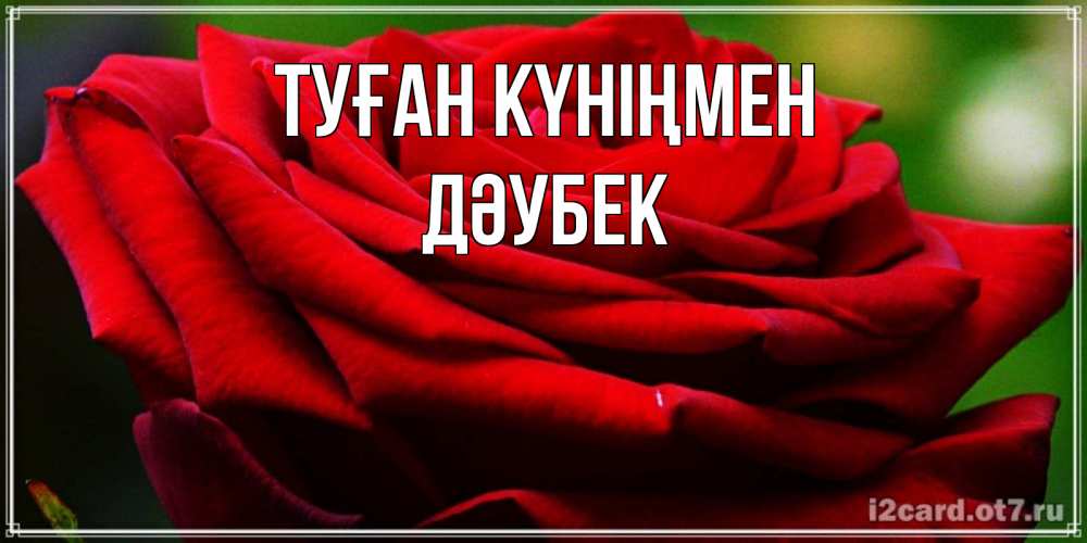 Күн сайын ашық хат с именем, Дәубек Туған күніңмен розочка очень красивая Онлайн тегін жүктеп алу тілектері бар керемет карта 