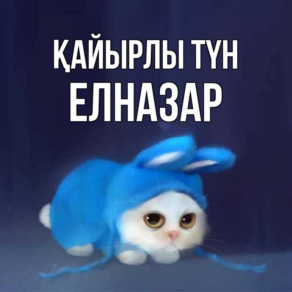 Күн сайын ашық хат с именем, Елназар Қайырлы түн кот в голубом костюме кролика с ушками Онлайн тегін жүктеп алу тілектері бар керемет карта 
