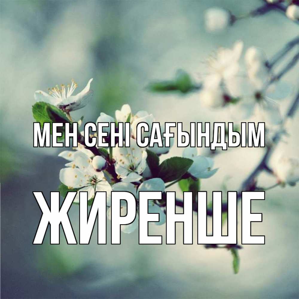 Күн сайын ашық хат с именем, Жиренше Мен сені сағындым весна Онлайн тегін жүктеп алу тілектері бар керемет карта 