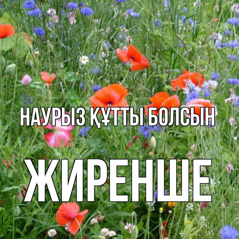 Күн сайын ашық хат с именем, Жиренше Наурыз құтты болсын наурыз  4 Онлайн тегін жүктеп алу тілектері бар керемет карта 