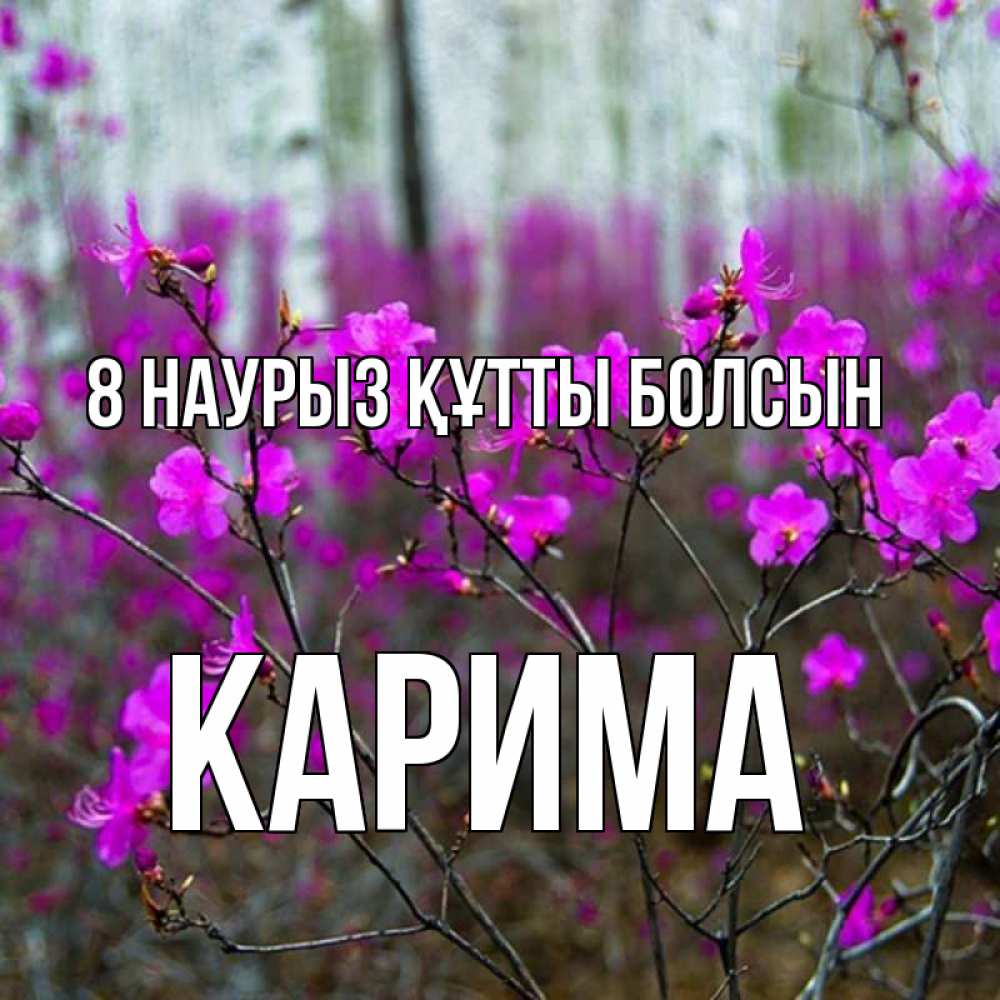 Күн сайын ашық хат с именем, Карима 8 наурыз құтты болсын дикие цветы Онлайн тегін жүктеп алу тілектері бар керемет карта 
