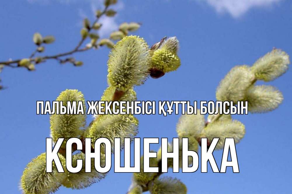 Күн сайын ашық хат с именем, Ксюшенька Пальма жексенбісі құтты болсын верба Онлайн тегін жүктеп алу тілектері бар керемет карта 