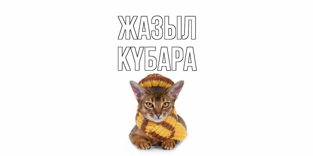 Күн сайын ашық хат с именем, КҮБАРА Жазыл родные не болейте Онлайн тегін жүктеп алу тілектері бар керемет карта 