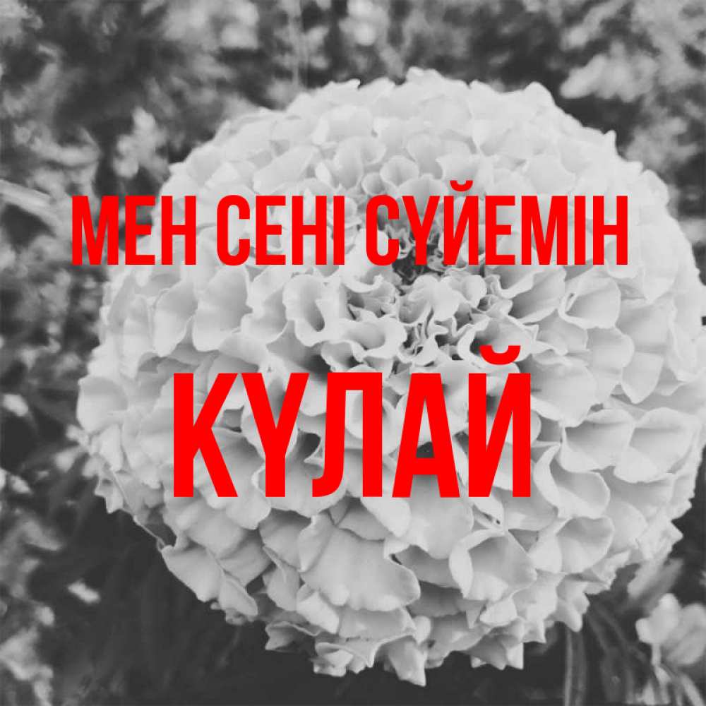Күн сайын ашық хат с именем, КҮЛАЙ Мен сені сүйемін подпись Онлайн тегін жүктеп алу тілектері бар керемет карта 