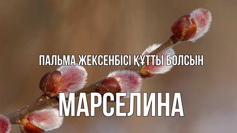 Күн сайын ашық хат с именем, Марселина Пальма жексенбісі құтты болсын верба Онлайн тегін жүктеп алу тілектері бар керемет карта 