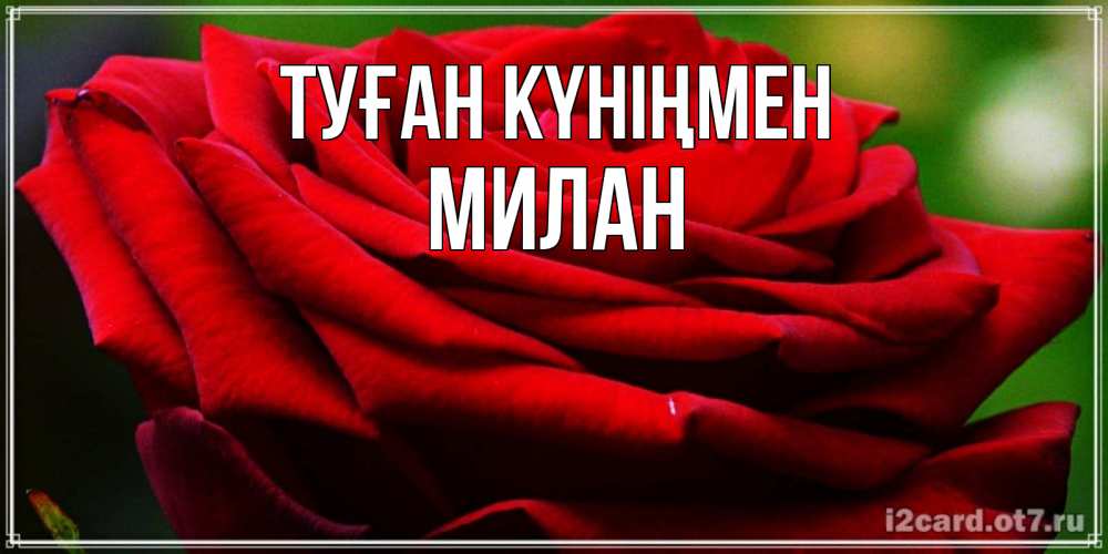 Күн сайын ашық хат с именем, Милан Туған күніңмен розочка очень красивая Онлайн тегін жүктеп алу тілектері бар керемет карта 
