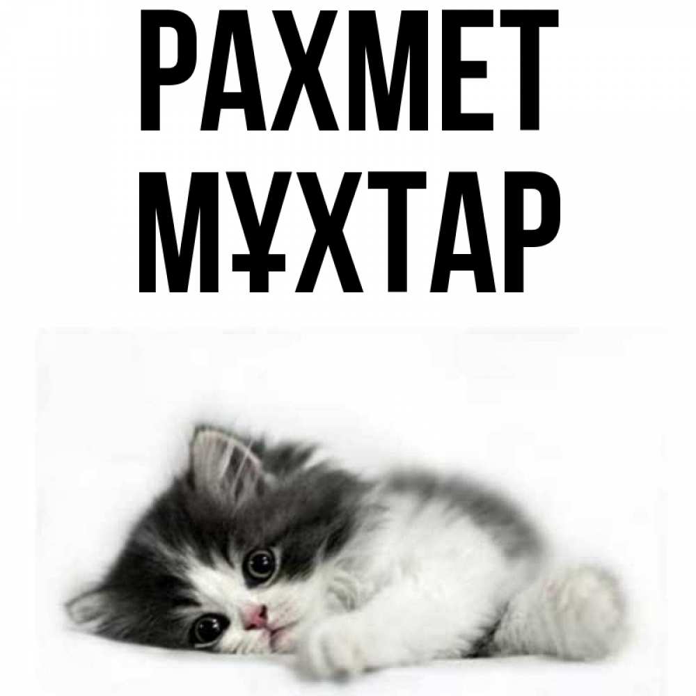 Күн сайын ашық хат с именем, МҰХТАР рахмет черный и белый кот Онлайн тегін жүктеп алу тілектері бар керемет карта 