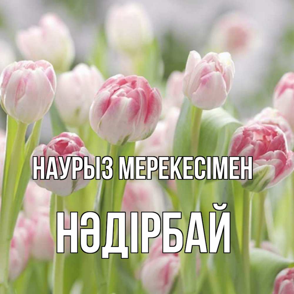 Күн сайын ашық хат с именем, НӘДІРБАЙ Наурыз мерекесімен цветы Онлайн тегін жүктеп алу тілектері бар керемет карта 