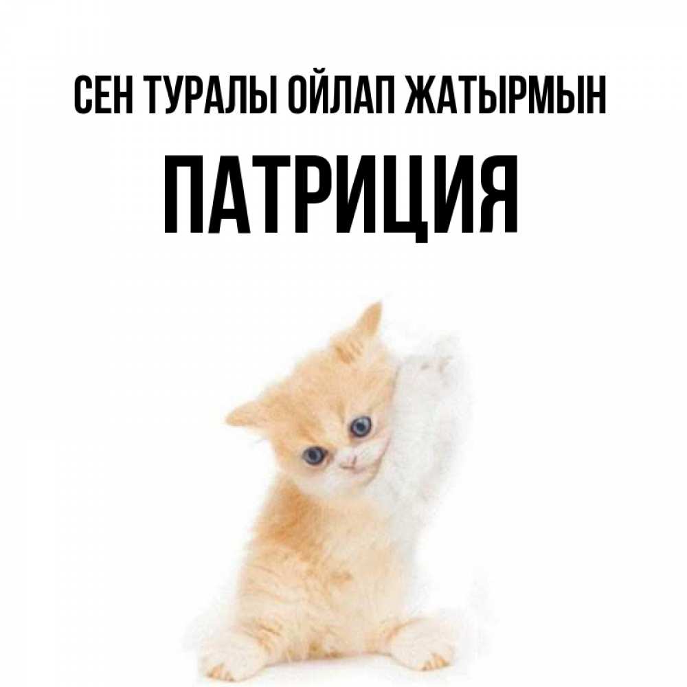 Күн сайын ашық хат с именем, Патриция Сен туралы ойлап жатырмын зверушки и милота Онлайн тегін жүктеп алу тілектері бар керемет карта 