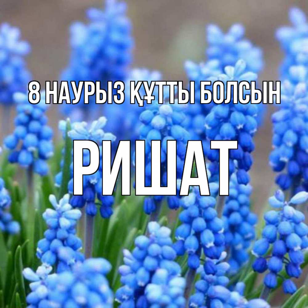 Күн сайын ашық хат с именем, РИШАТ 8 наурыз құтты болсын Поздравительная открытка для женщин с цветами на праздничную дату Онлайн тегін жүктеп алу тілектері бар керемет карта 