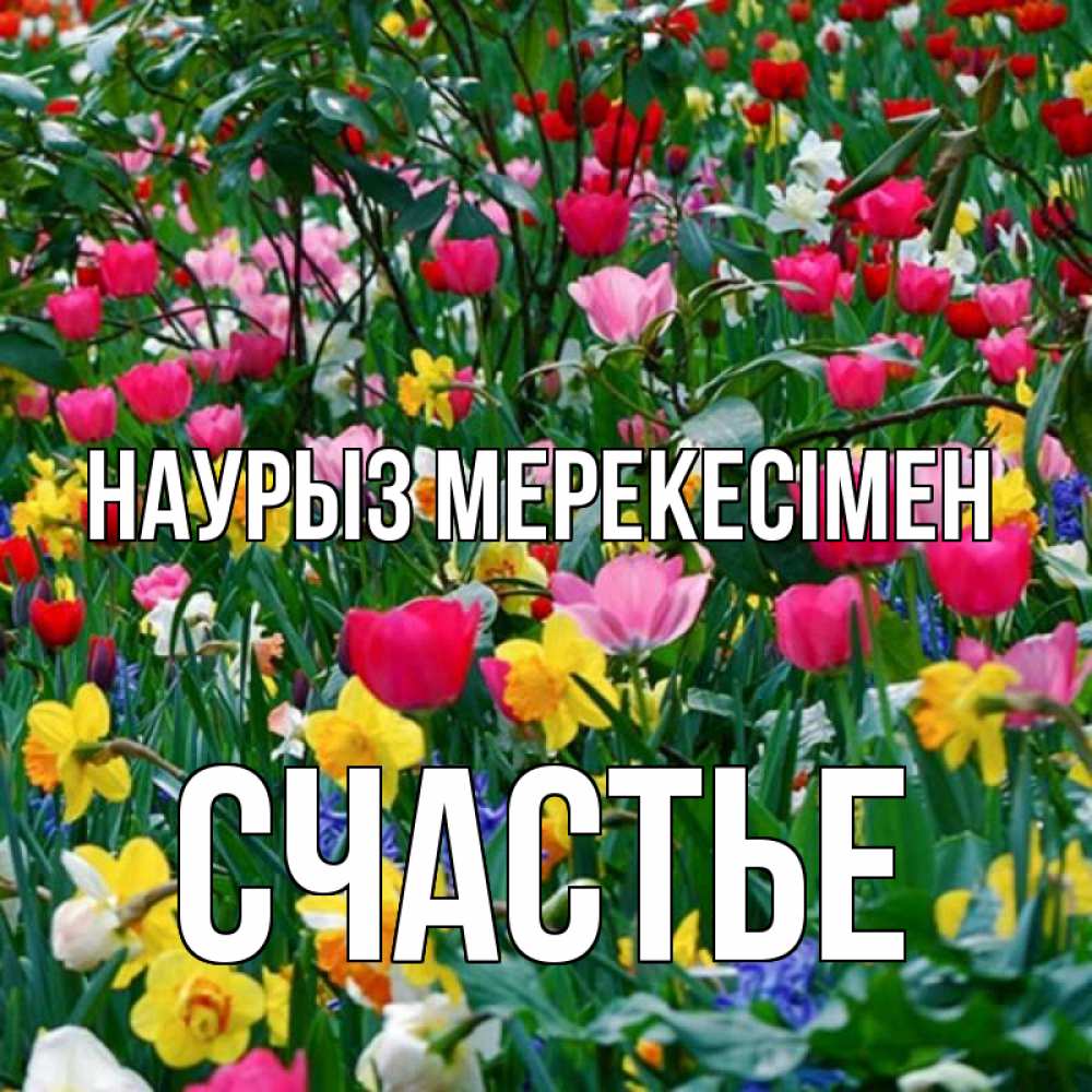 Күн сайын ашық хат с именем, Счастье Наурыз мерекесімен с наурызом праздником весны поздравления для женщины Онлайн тегін жүктеп алу тілектері бар керемет карта 