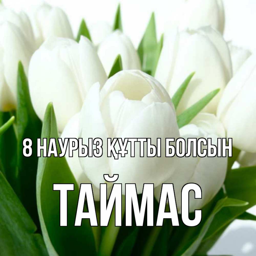 Күн сайын ашық хат с именем, ТАЙМАС 8 наурыз құтты болсын цветы Онлайн тегін жүктеп алу тілектері бар керемет карта 