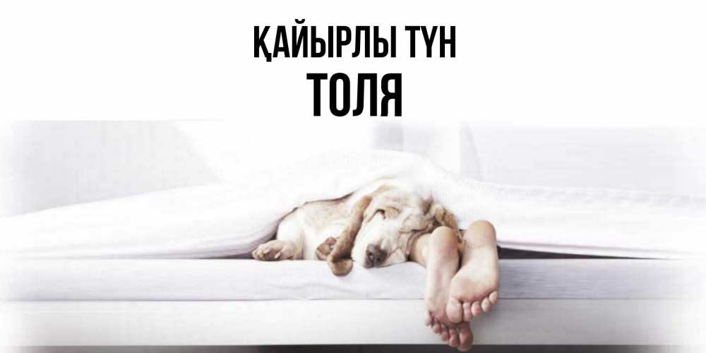 Күн сайын ашық хат с именем, Толя Қайырлы түн кровать с собакой пожелание сладких снов и спокойной ночи Онлайн тегін жүктеп алу тілектері бар керемет карта 