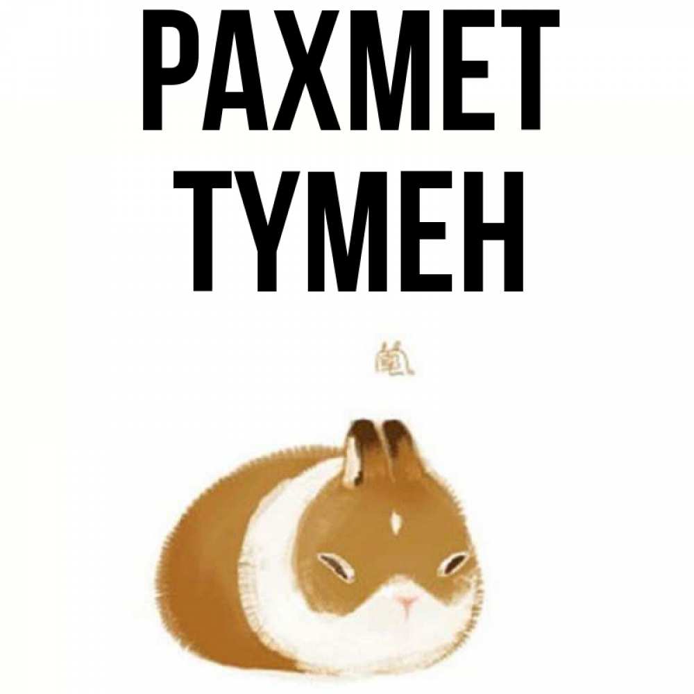 Күн сайын ашық хат с именем, ТҮМЕН рахмет коричнево белый домашний питомец Онлайн тегін жүктеп алу тілектері бар керемет карта 