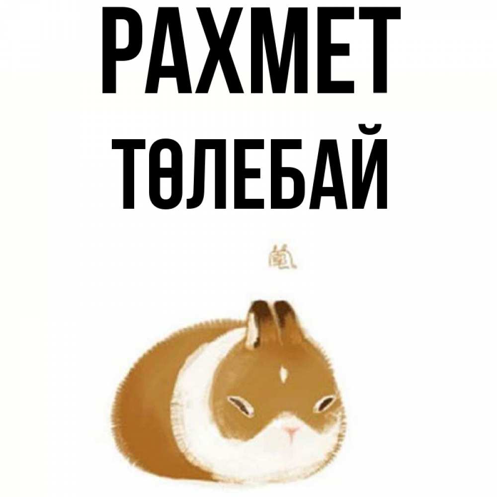 Күн сайын ашық хат с именем, ТӨЛЕБАЙ рахмет коричнево белый домашний питомец Онлайн тегін жүктеп алу тілектері бар керемет карта 
