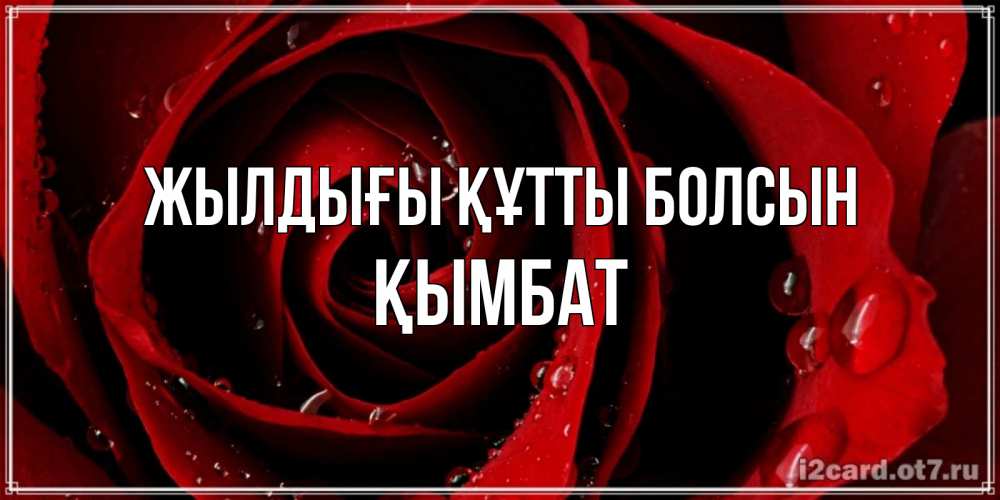 Күн сайын ашық хат с именем, ҚЫМБАТ Жылдығы құтты болсын крупная бордовая роза Онлайн тегін жүктеп алу тілектері бар керемет карта 