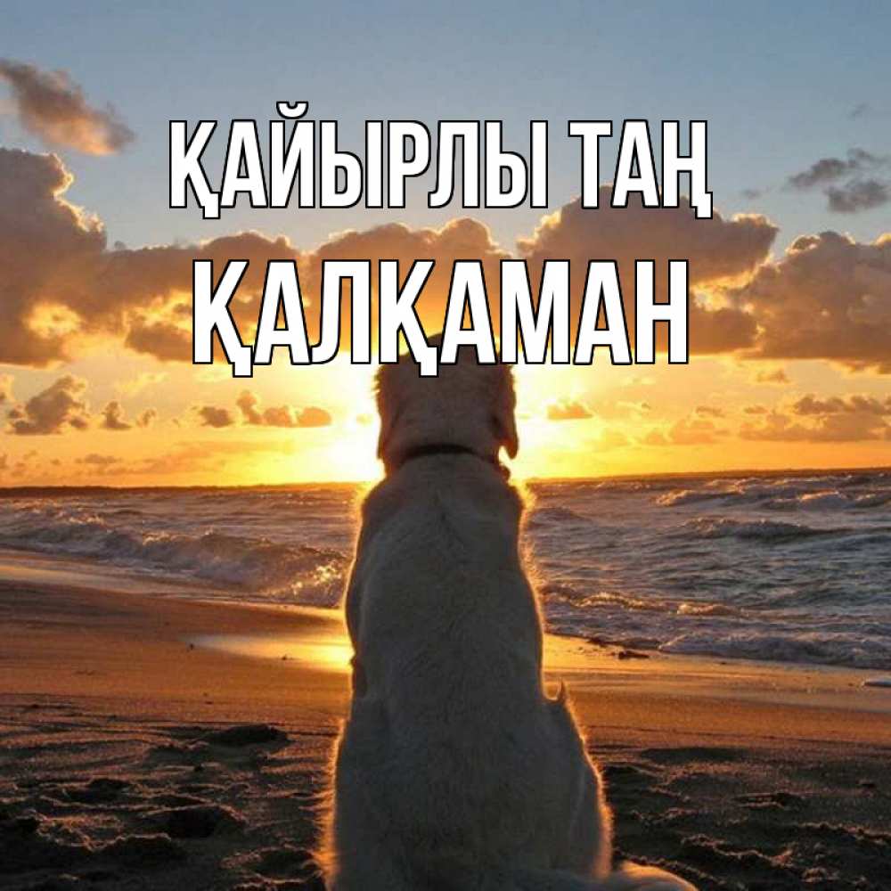 Күн сайын ашық хат с именем, Қалқаман Қайырлы таң восход солнца Онлайн тегін жүктеп алу тілектері бар керемет карта 