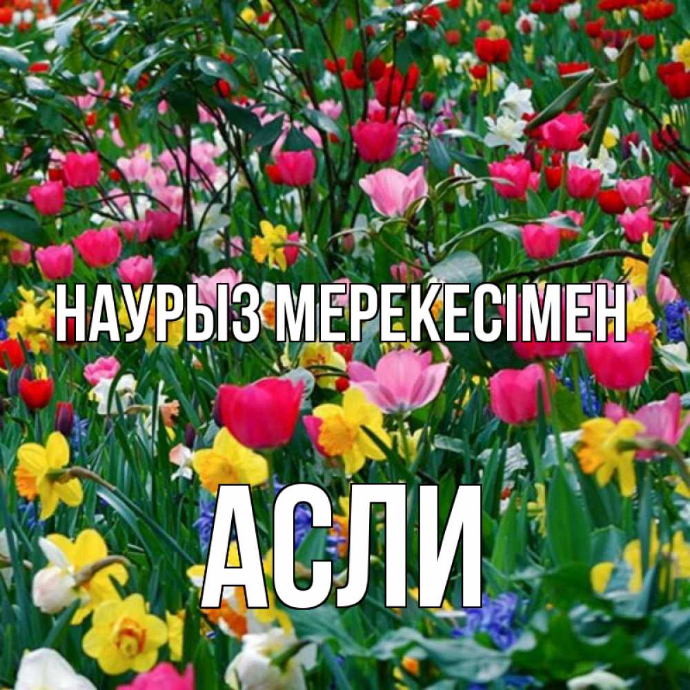 Күн сайын ашық хат с именем, АСЛИ Наурыз мерекесімен с наурызом праздником весны поздравления для женщины Онлайн тегін жүктеп алу тілектері бар керемет карта 