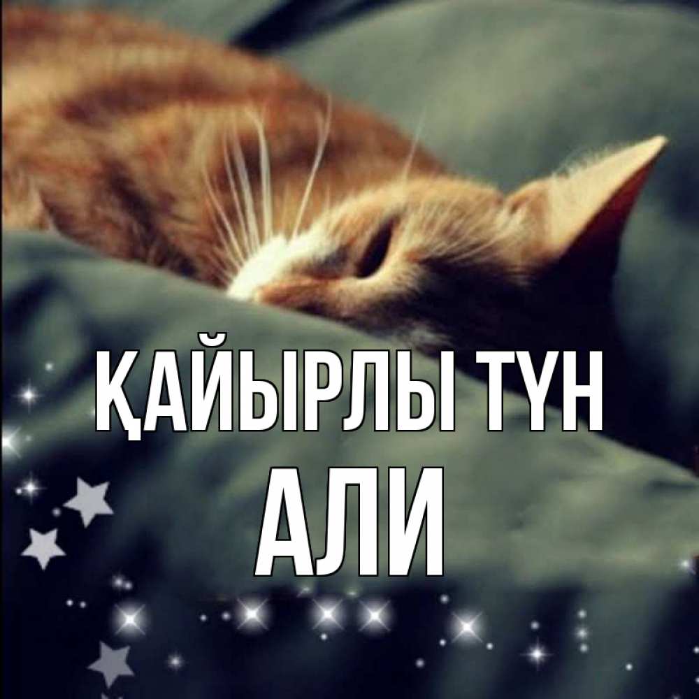 Күн сайын ашық хат с именем, Али Қайырлы түн кроватка Онлайн тегін жүктеп алу тілектері бар керемет карта 