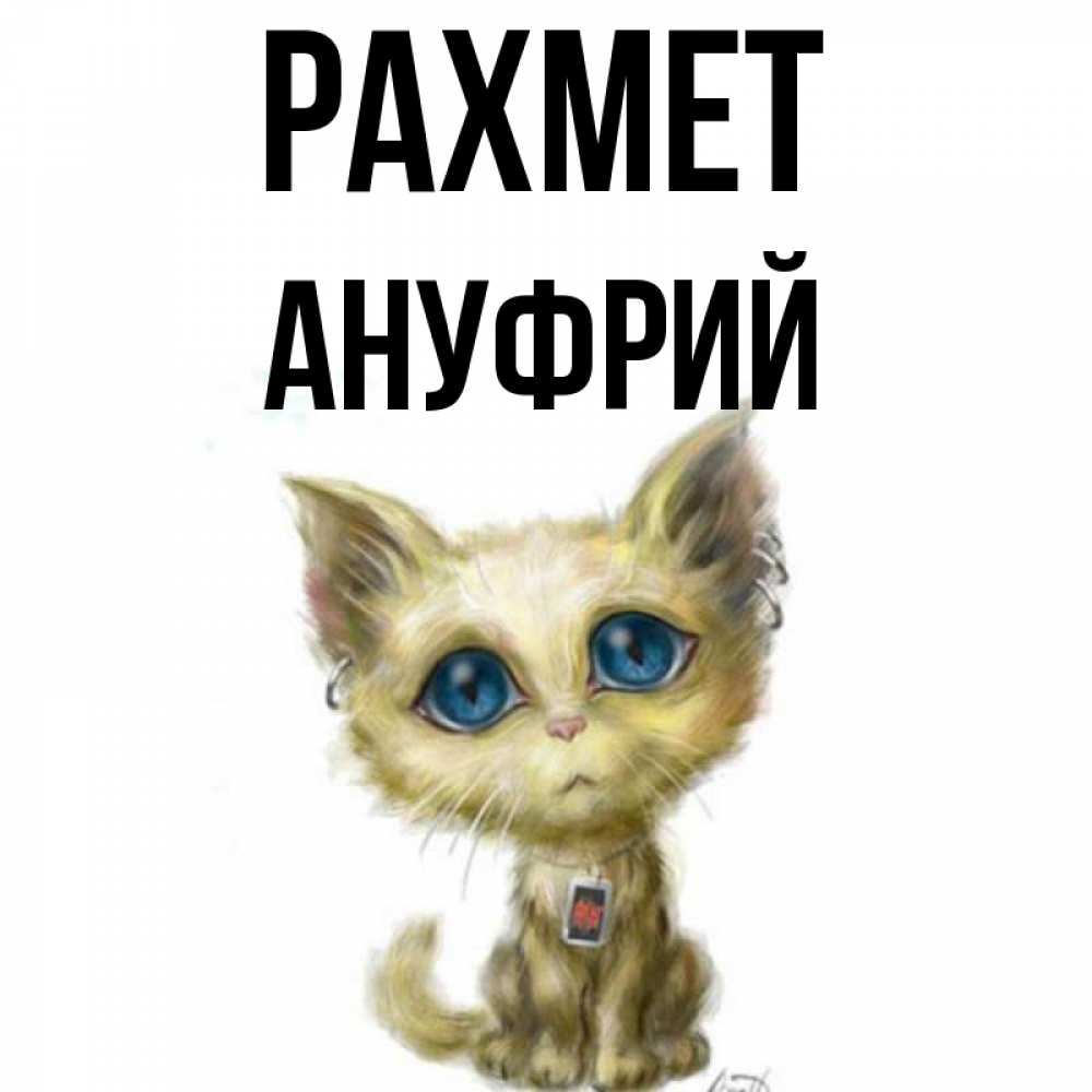 Күн сайын ашық хат с именем, Ануфрий рахмет рисованный кот благодарит вас Онлайн тегін жүктеп алу тілектері бар керемет карта 