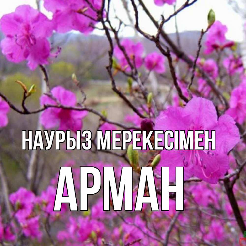 Күн сайын ашық хат с именем, Арман Наурыз мерекесімен праздник весны наурыз Онлайн тегін жүктеп алу тілектері бар керемет карта 