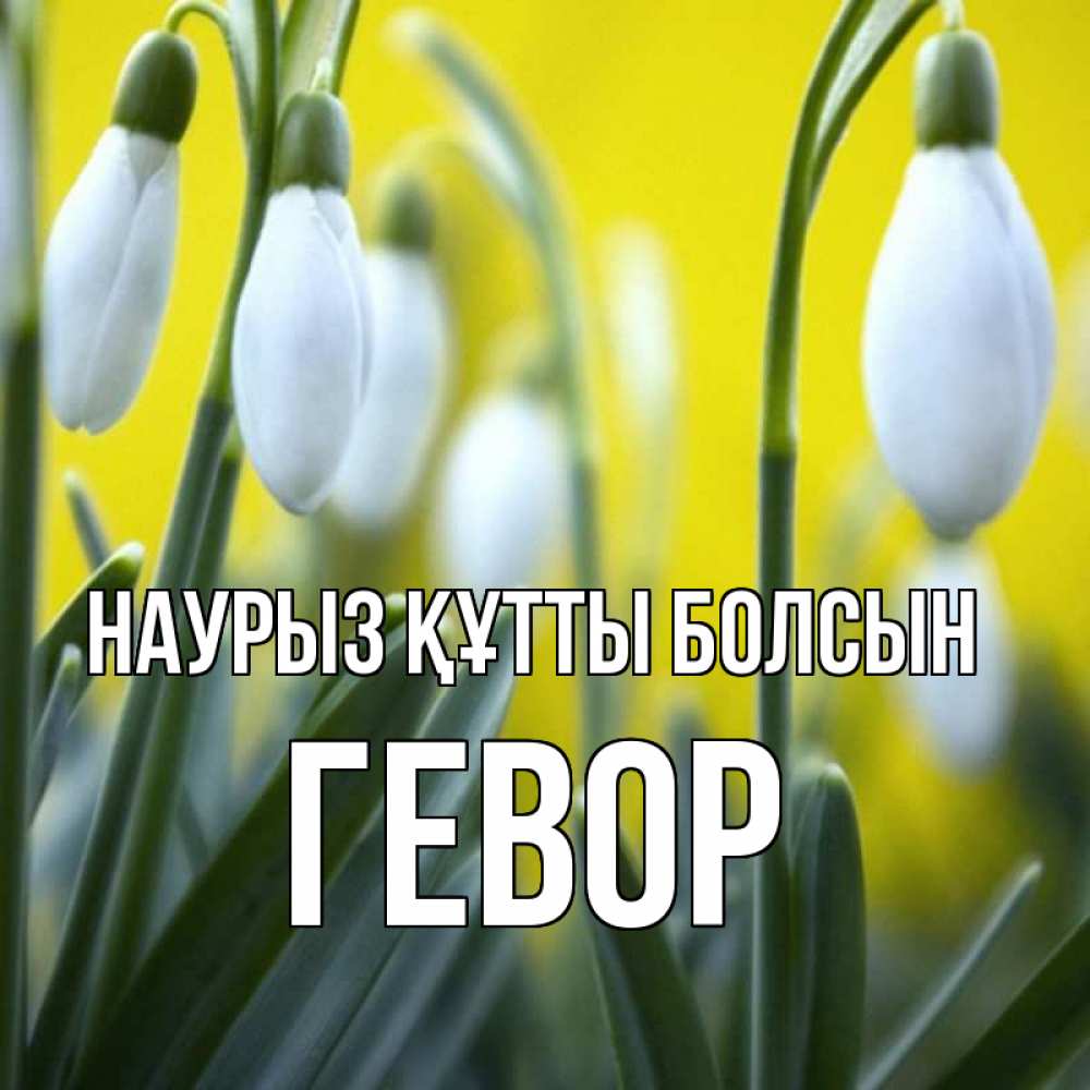 Күн сайын ашық хат с именем, Гевор Наурыз құтты болсын весенние цветы Онлайн тегін жүктеп алу тілектері бар керемет карта 
