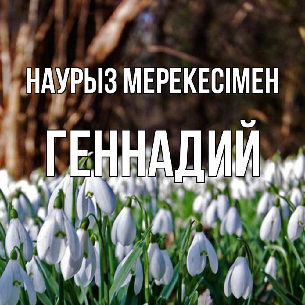 Күн сайын ашық хат с именем, Геннадий Наурыз мерекесімен с подснежниками 1 Онлайн тегін жүктеп алу тілектері бар керемет карта 
