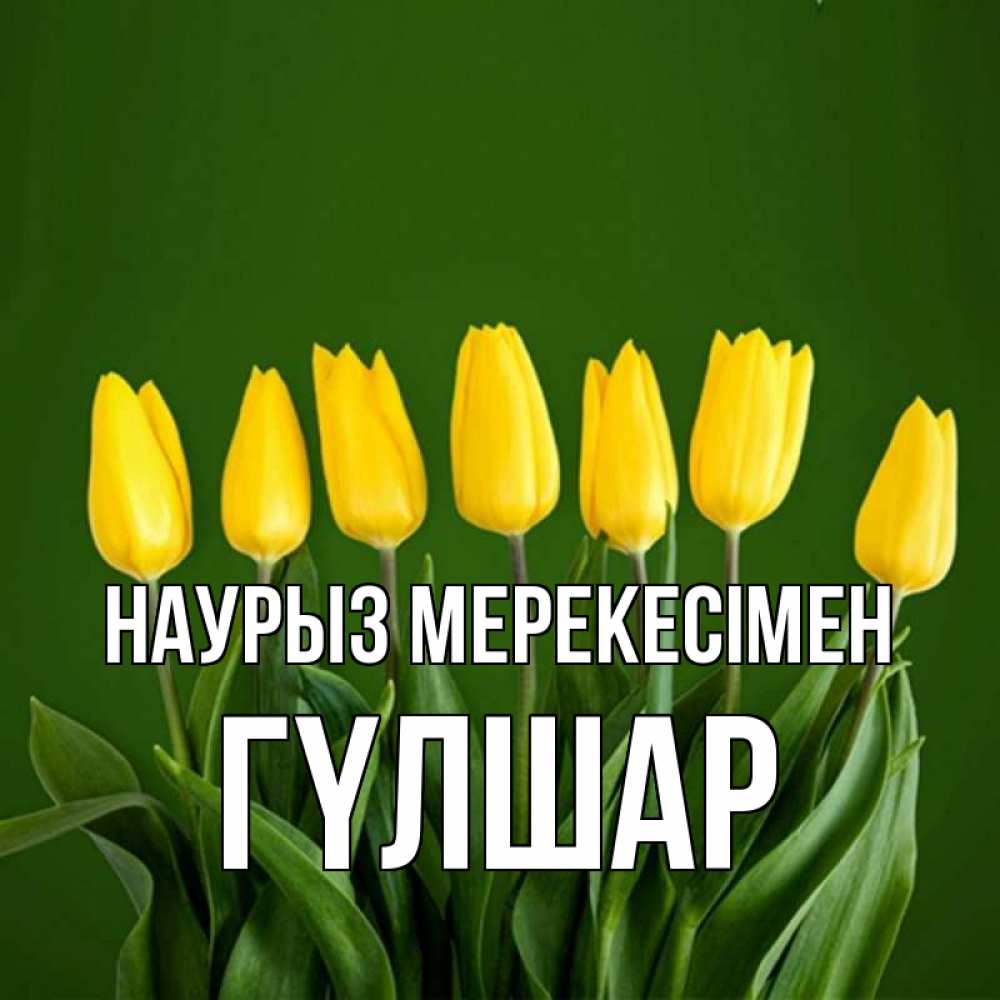 Күн сайын ашық хат с именем, ГҮЛШАР Наурыз мерекесімен желтого цвета 3 Онлайн тегін жүктеп алу тілектері бар керемет карта 
