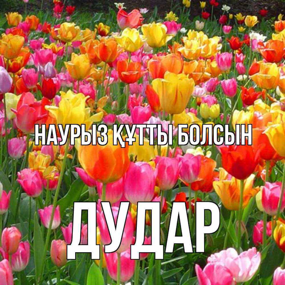 Күн сайын ашық хат с именем, Дудар Наурыз құтты болсын на наурыз  ура ура Онлайн тегін жүктеп алу тілектері бар керемет карта 