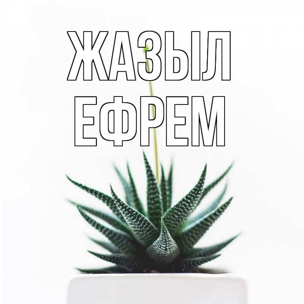 Күн сайын ашық хат с именем, Ефрем Жазыл короче это непонятная колючка Онлайн тегін жүктеп алу тілектері бар керемет карта 
