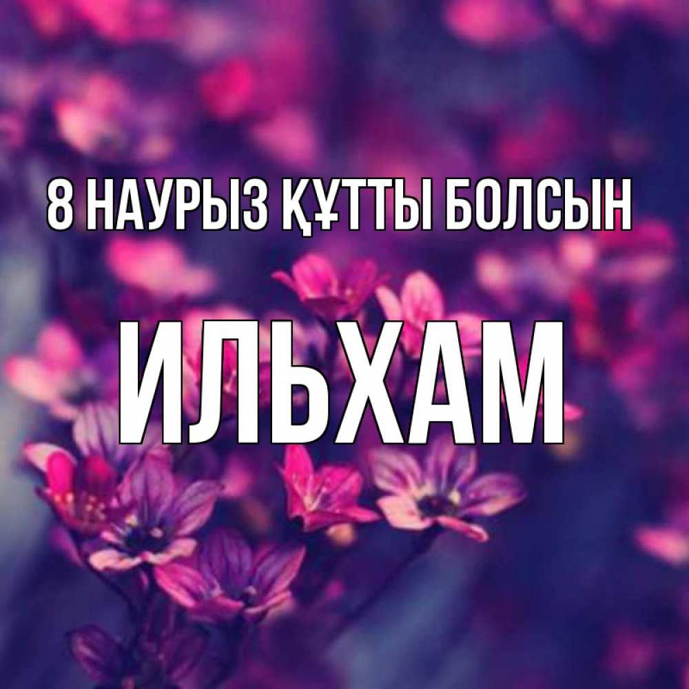 Күн сайын ашық хат с именем, Ильхам 8 наурыз құтты болсын небольшие цветы 1 Онлайн тегін жүктеп алу тілектері бар керемет карта 
